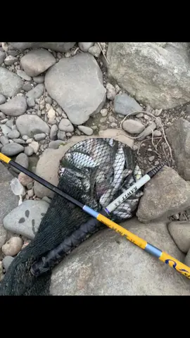 Inpo spot tak resik ane wong 2#mancing #tegek#tawes#inpospot