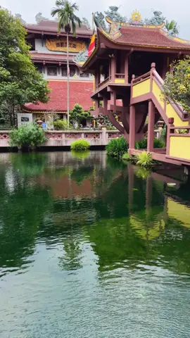 Tâm bình an sáng tỏ, bước thảnh thơi nhẹ nhàng.