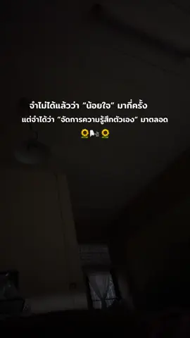 #สตอรี่ความรู้สึก #ยืมลงสตอรี่ได้ 