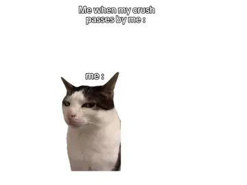 just acting like i still hate him and being nonchalant 😌 #crush #school #fyp #goviral #cats 