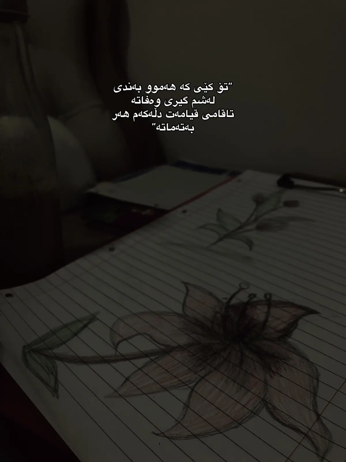 #fy #fyp #foryoupage #viralvideo #foryou #foryoupage #viral #bryaniiiii #active #fypage #kurdistan #viraltiktok #pov 