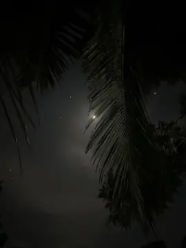 ভিন্নতা আর শূন্যতা মিলিয়ে,জীবন আজ অসম্ভব সুন্দর...!!❤️‍🩹🩹