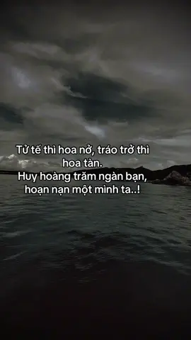 Tử tế thì hoa nở , tráo trở thì hoa tàn. Huy hoàng trăm ngàn bạn, hoạn nạn một mình ta..! #fyp #tamtrang #sory #sttxahoi #hoanganh29012003 