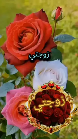 #زوجتي #الغالية_ربي_يحفضها_ويطول_في_عمرها #يارب_فوضت_امري_اليك #حفظكم_الله_ورعاكم_ونصركم_وأعزّكم_ #المغرب🇲🇦 