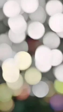 হ্যাঁ আমি প্রেমিক হিসেবে ছিলাম সূর্যের মত,সে নিজে চাঁদ হয়ে আরেকটা চাঁদ খুঁজতে গিয়েছে..!😅 #Fyp  #A_K_A_S_H 