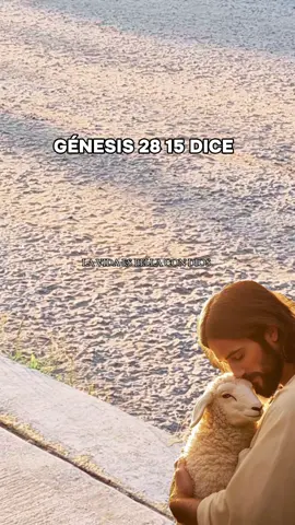 #diosesamor #hagamosviralajesus #creyentes #reflexion 