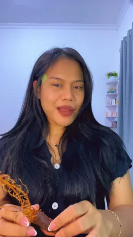 pliss aku mulai kencanduan sama lagu nya🗿