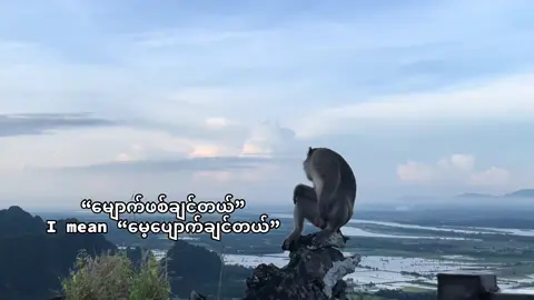 I want to be monkey 🐒 #foryou #fypシ #မျောက်ဖစ်ချင်တယ်#ခန့်ဖြိုး #ပင်ပန်းတယ်🥀 