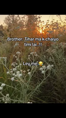 😂#fyp #goviral #foryoupage #trending #creatorsearchinsights 