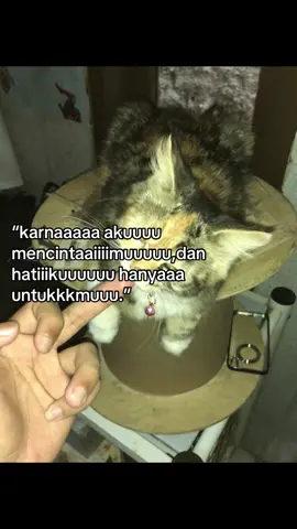 #fyp #xyzabc #galaubrutal🥀 #fypシ゚ 