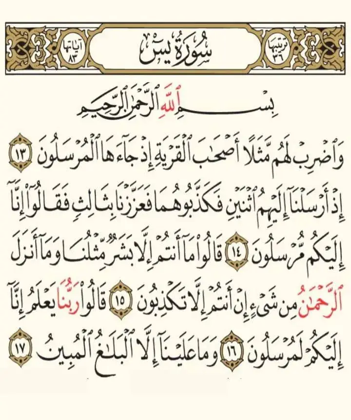 #مشاهدات  #مشاهير_تيك_توك  #_مشاهدات  #مشاهداتي  #مشاهدات_تيك_توك  @الجميع  