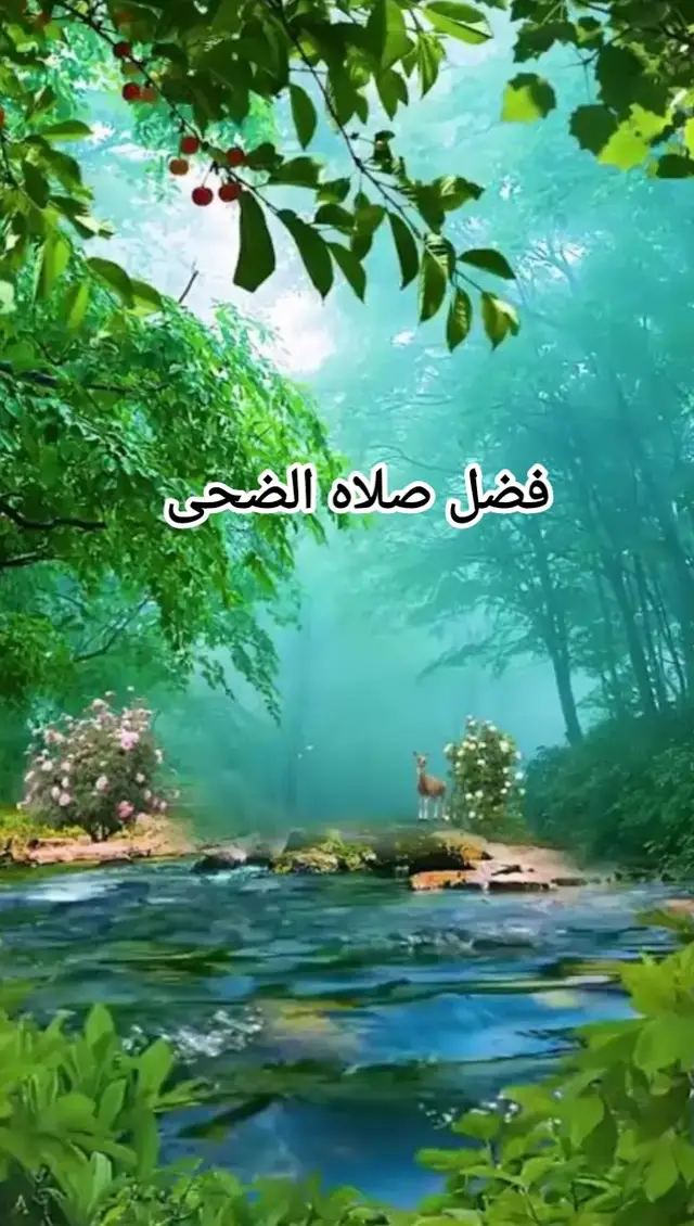 #صلاه-الضحى