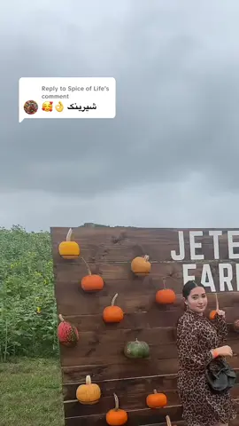 Replying to @Spice of Life #behishtaazami #azamifamily 