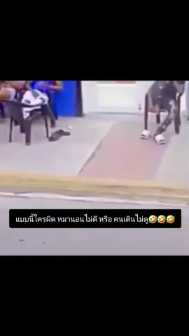 #คลิปตลก #คลิปต่างประเทศ #เทรนด์วันนี้ 