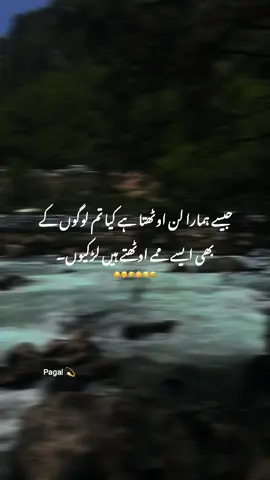 Btao Girls 🤭  #1millionaudition #fypシ゚viral #urudupoetry #urdushayari #standiwthkashmir @TikTok @TiktokPakistanOfficial 