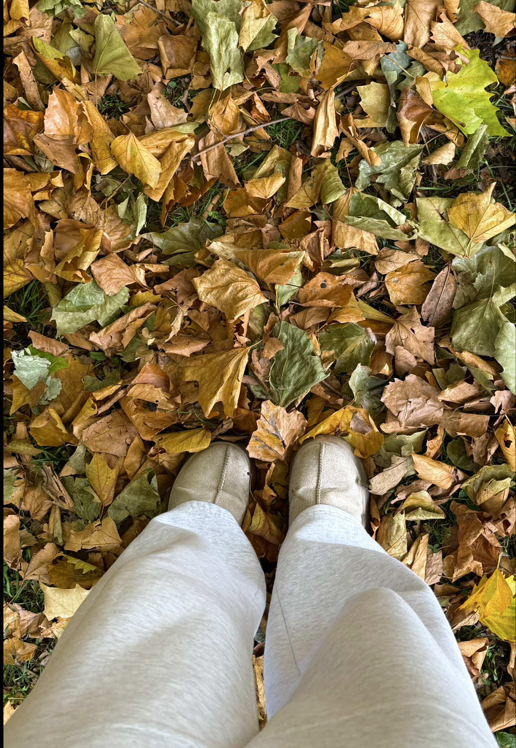 new autumnal set from @kaiiathelabel 🐢