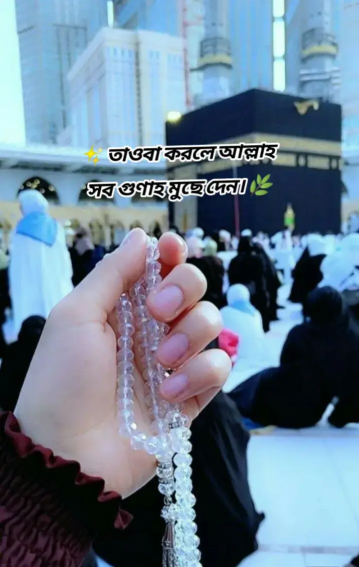 ✨ তাওবা করলে আল্লাহ সব গুণাহ মুছে দেন। 🌿