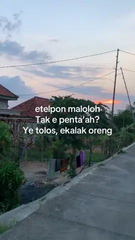 #katakatamadura#quotesmadura#sampanghits#madurapride 