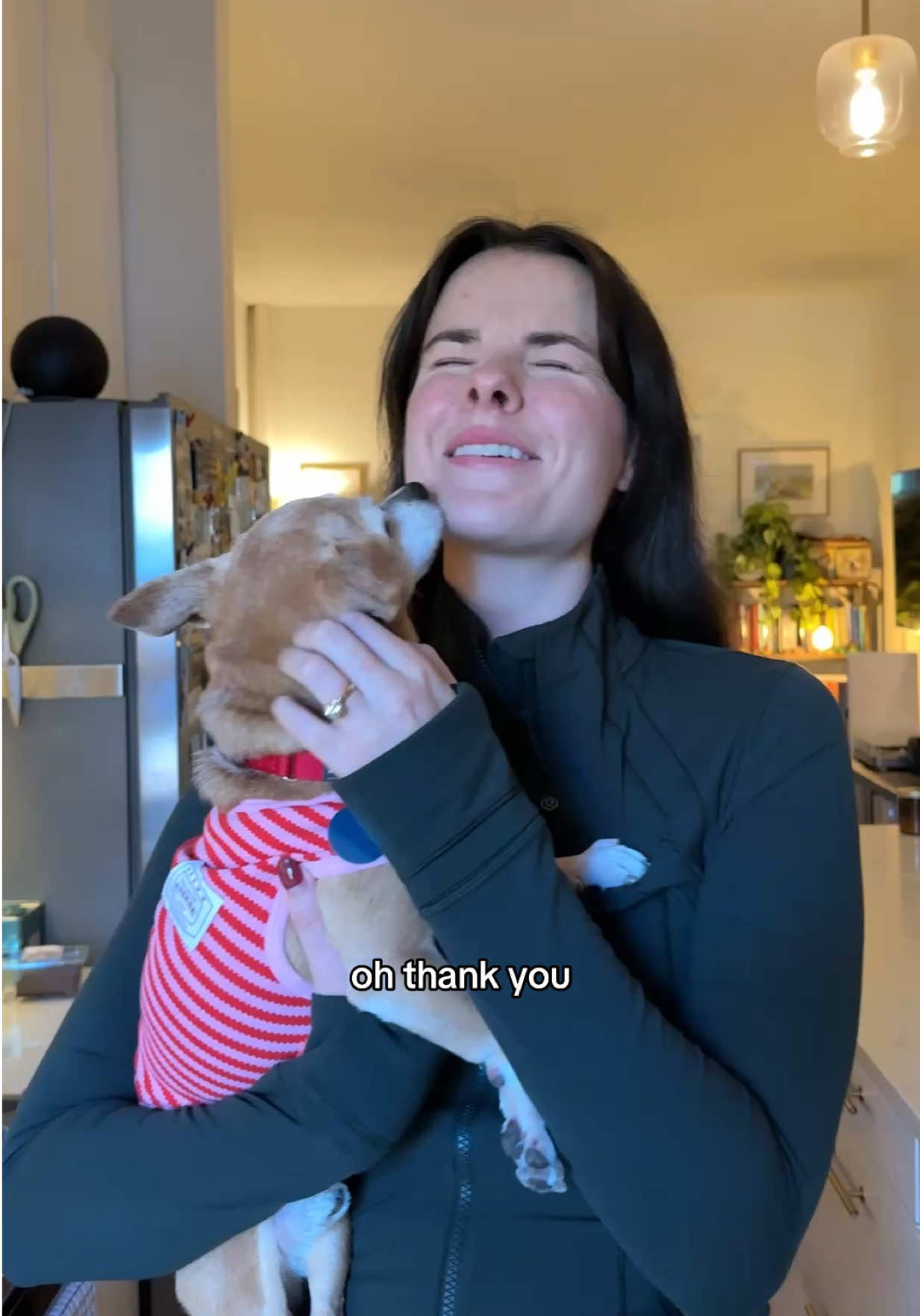 Only the best for our Moonie Pie 🥰 use code SIMONSITS for 20% off your next @Open Farm Pet order! #ad 