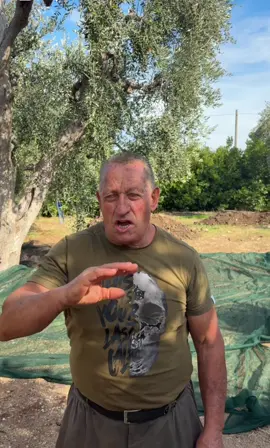 #RVRISP #PerTe #olive #colazionebio #bio 