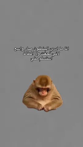 صارت لكم؟😂😂😂😂😂 