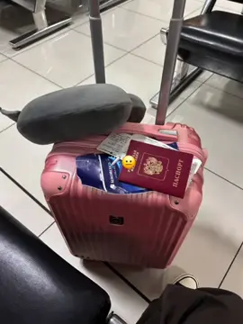 wadanke jeclaan laheyd inaad mustaqbalka ku nolaato✈️ 