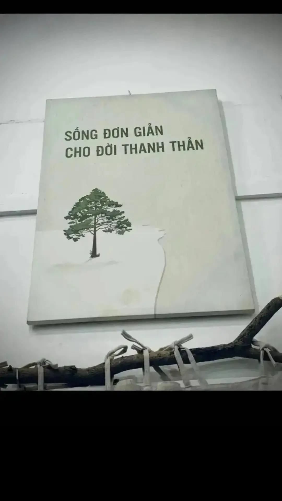 #xuhuong #fyp #xuhuongtiktok #viral 