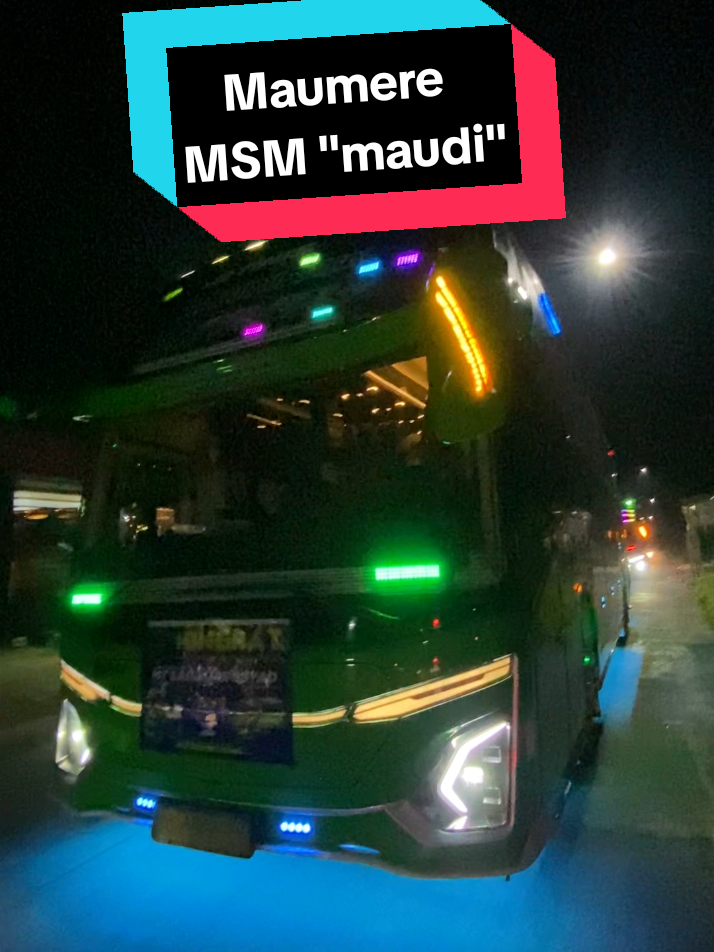 2 menit bersama maudi basuri maumere #msmfadelmaudi #msmasyroffadelali #fypシ゚ #fypbusmania #teloletbasuri @𝘼𝙨𝙮𝙧𝙤𝙛 𝙈𝙖𝙪𝙙𝙞 046 