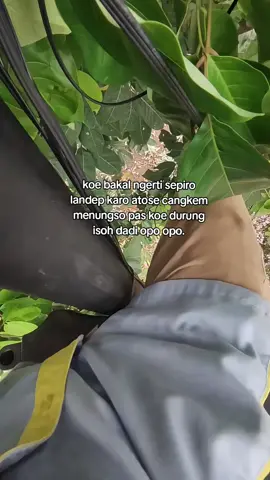 😅😅 #wifi #teknisiwifi #katakatasad #foryoupage #fypツ 