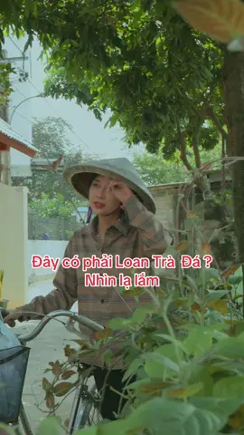 Một ngày thử làm osin của Loan Trà đá🤣🤣🤣#thanhaohoa #gvtaxi #thanhaohoalivestream @Thành Áo Hoa 🌺 @Thành Áo Hoa - Xe ôm GV Taxi @Loan trà đá 