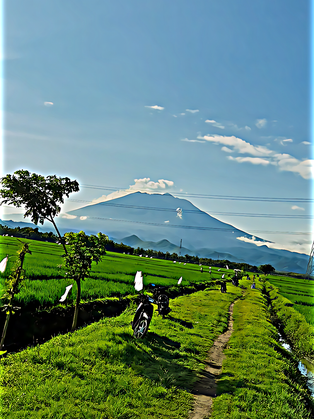 Preset fail 🤦 #presetalightmotion #presetxml #presetdibawah5mb🎟️ #preset #presetdibawah5mb #jj60fps #jj120fps #presetam #preset5mb