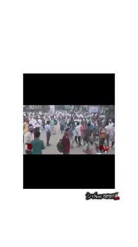 কেপশন বাংলাদেশের আন্দোলনে...।।😅🌿 #taetah_0t7 #fyp #trending  #বাংলাদেশের_আন্দোলনে #foryou @BANGLADESH @TiKToK 
