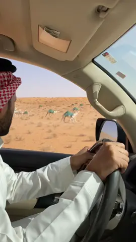 #CapCut #fyp #اكسبلور 