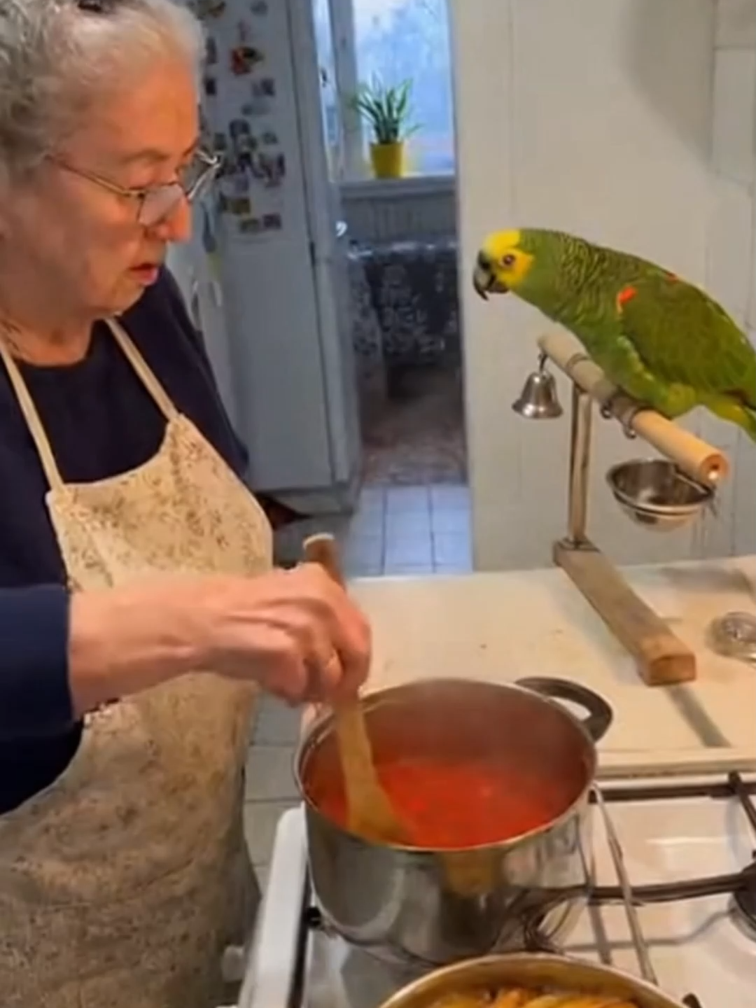 Quand Mamie Cuisine et le Perroquet Fait le Show