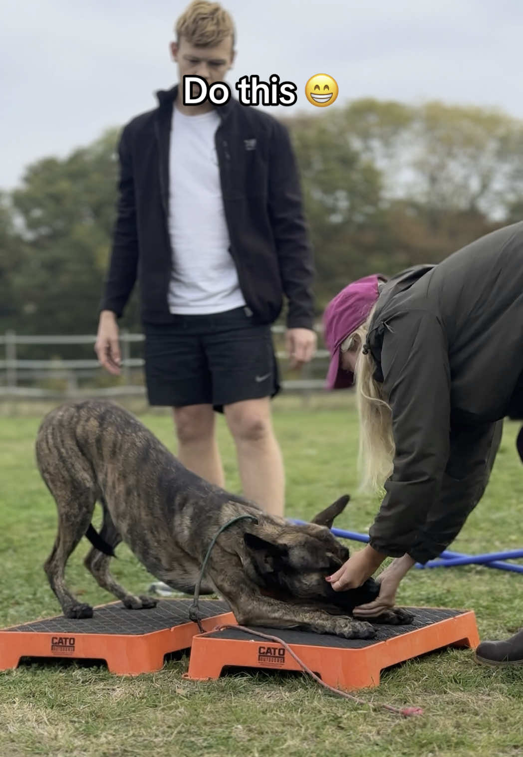 Strength and conditioning for the win 🙌🏻 #sportdog #sportdogs #bullherder 