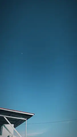 🎧🎶 