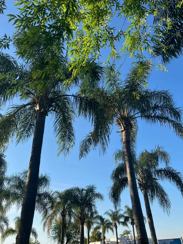 Hermoso finde 🩷🌳🫂 #entrerios #trip 