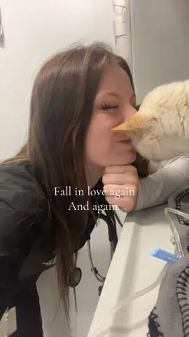 #vet #techtech #lvt #veterinarymedicine #vetmed 