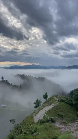 MARDI TREK IS A BLISS#blessed #foryou #followers😘thanku🙏🙏❤️❤️❤️ #foryoupage #nature first solo trek 😍😍😍