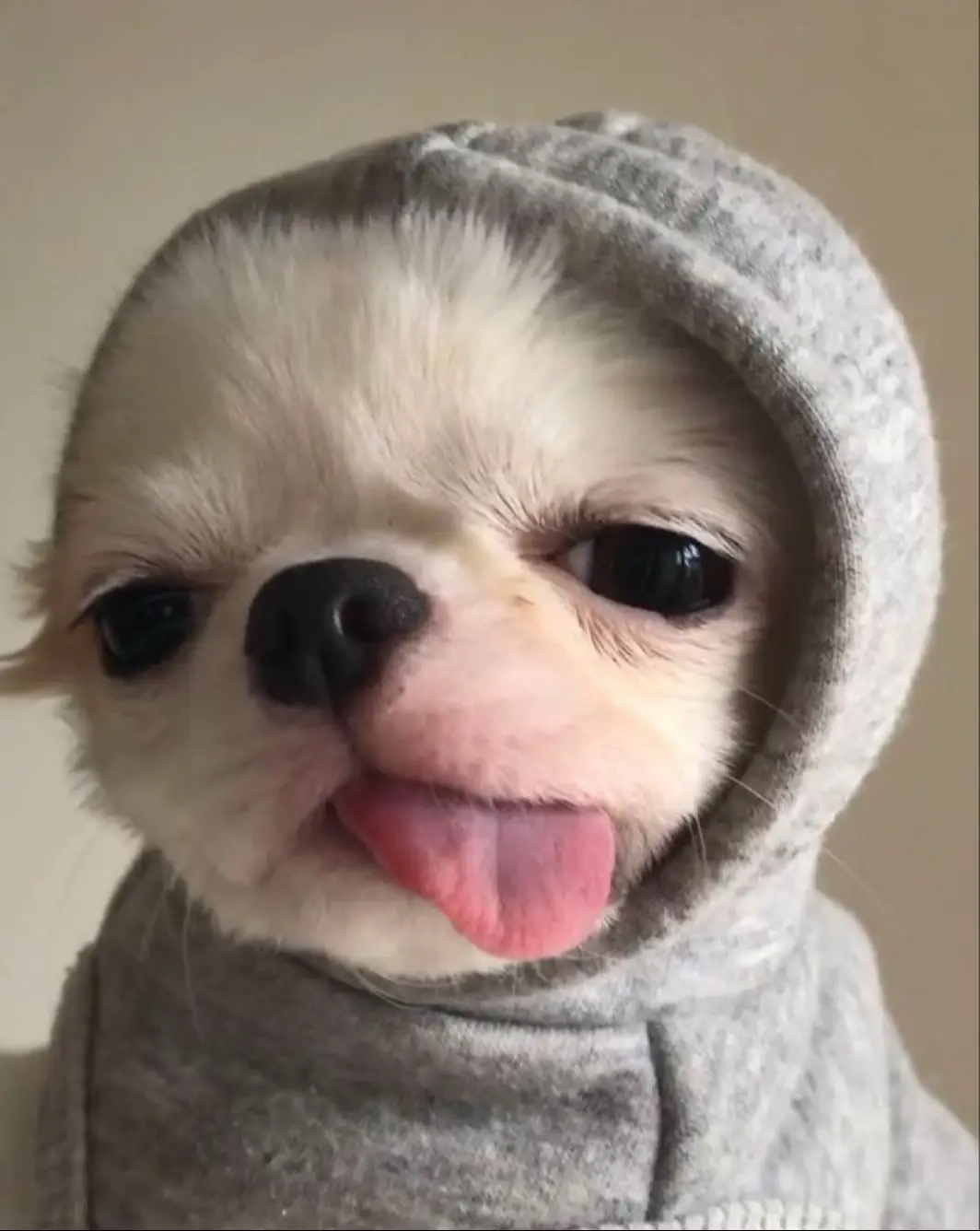 #ngon #dam #yeuthuong #xuhuong 