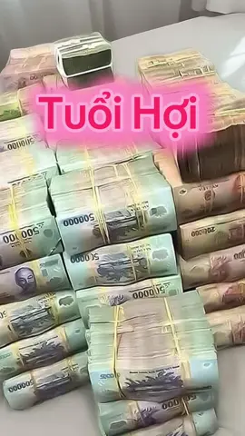 Tuổi Hợi #ilovetiktok #xuhuong #viral 