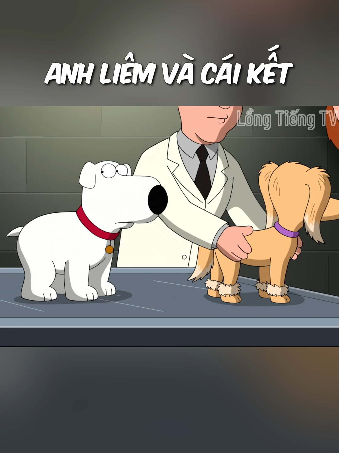 Anh liêm và cái kết cảm lạnh cùng crush ... #familyguy#longtieng#viral