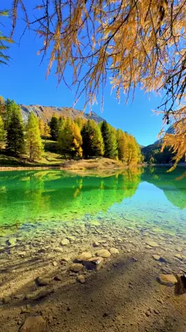 📍 Lai da Palpuogna, Switzerland 🇨🇭 Follow for daily Swiss Content 🇨🇭 📌 Save this for your trip to Switzerland 🇨🇭  🎥 by: @swisswoow  #switzerland #mountains #schweiz #swissalps #myswitzerland