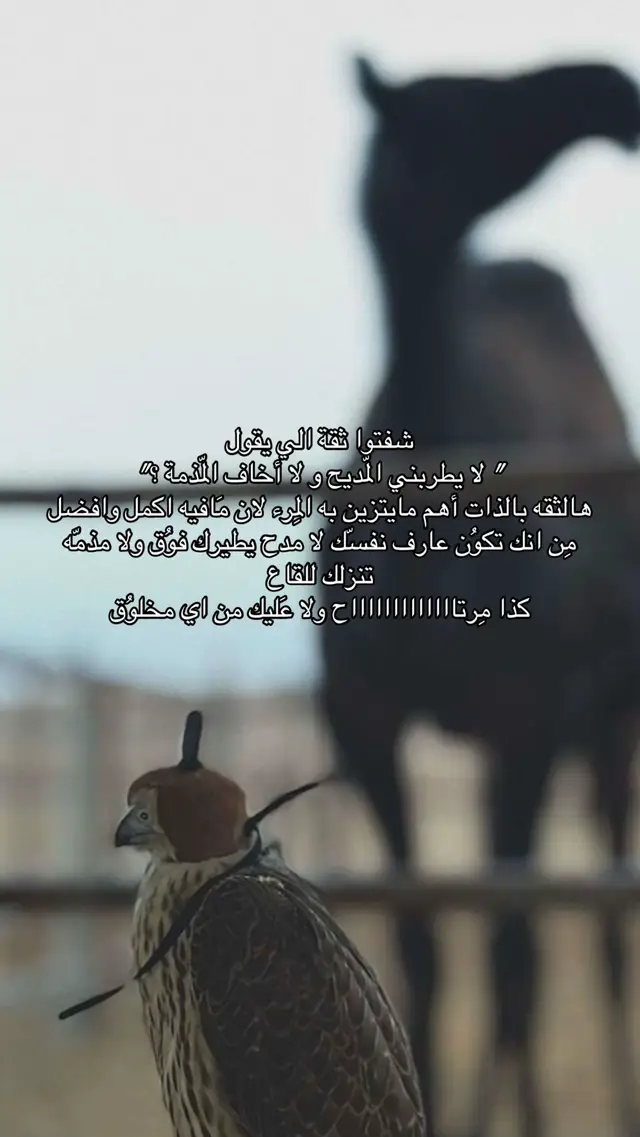 #fyppppppppppppppppppppppp #اكسبلورexplore #fyp #مالي_خلق_احط_هاشتاقات🧢 #الشعب_الصيني_ماله_حل😂😂 