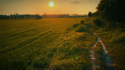 #CapCut Kẻ du mục đi phiêu bạc . #radio #capcutpioneer #pioneertemplate #sky 