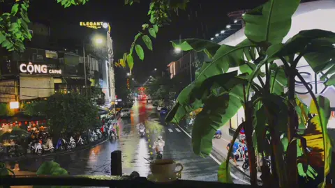 Cũng đã lâu hai ta chẳng bước đi chung trên con phố dài Cũng đã lâu yêu thương anh mang vứt ra ngoài kia Giấu em vào trong từng giây phút bộn bề Tự mình ngăn dòng ký ức ùa về Mà khi mưa lại rơi lòng anh vẫn chơi vơi #CapCut #chill #tamtrang #xuhuong 