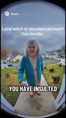 “Local witch or devoted cat mom? You decide. 🐾 #RingCamMystery”#FunnyAI #RingCamFootage #CatTok #AIcat #MemeTok #AIhumor #FunnyAnimals #LocalNewsReport #CursedVideo #AIVideo #WitchTok #BlackCat #CatMeme