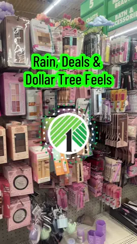 Rain, Deals & Dollar Tree Feels#fyp #dollartreefinds #dollartree #budgetfriendly #dollartreemakeup #makeuppalette #lipgloss 
