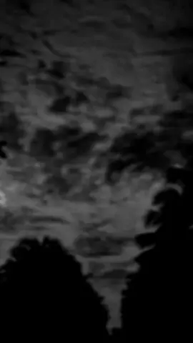 𝕀 𝕒𝕞 𝕒𝕝𝕨𝕒𝕪𝕤 𝕨𝕒𝕚𝕥 𝕗𝕠𝕣 𝕙𝕖𝕣🫵❤️🥹 #loveyou #mylove #myeverything #tamillovebgm #tamilsong 