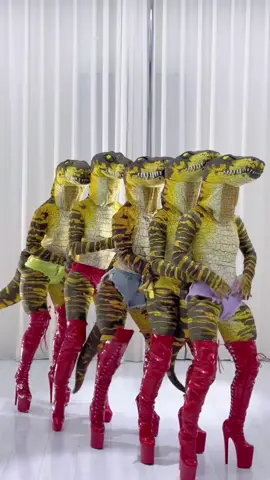 5 dancer #StagePerformance #dancingqueen #tiktokviral #nhảy_múa #crocodile 